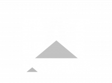 Caterpillar